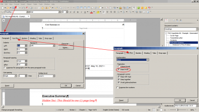 Problem - TM files 'Page Break' 'Pagination' - TM - Annotated.png