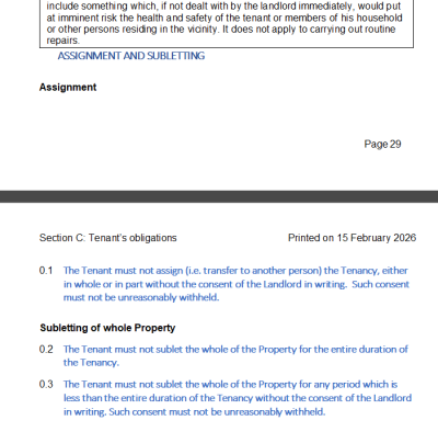 Screenshot 2026-02-15 220210 print preview.png